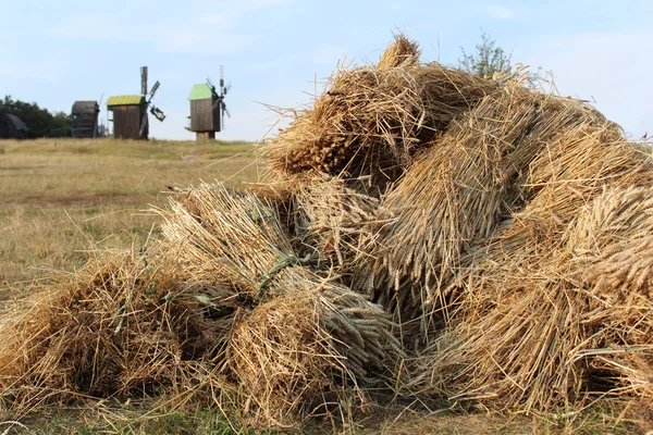 Pile da paglia — Foto Stock