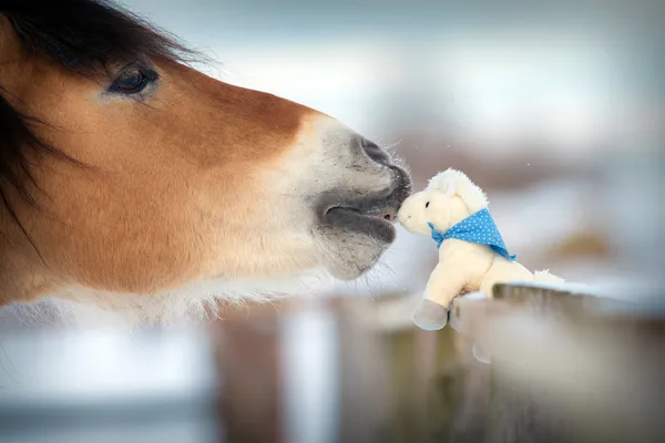 Лошадь и игрушечная лошадь Стоковое Изображение