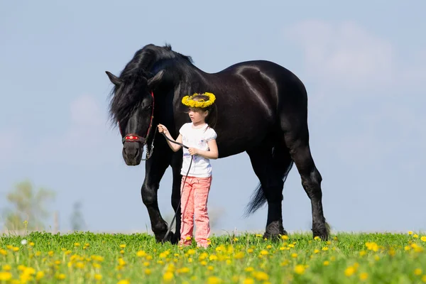 Ребенок и большая чёрная лошадь — стоковое фото