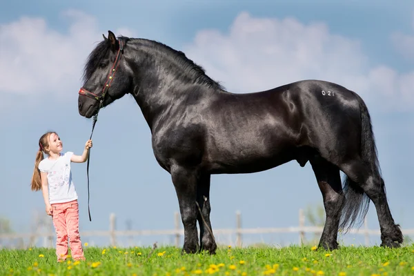 Kind en grote zwarte paard — Stockfoto