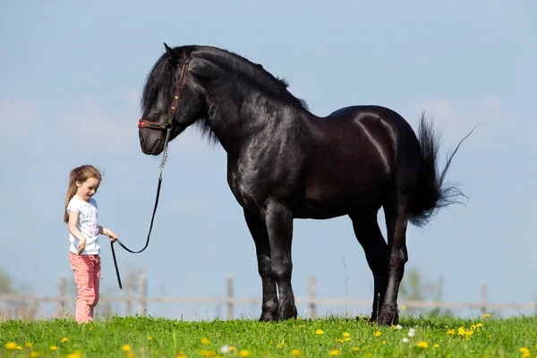 Kind en grote zwarte paard — Stockfoto