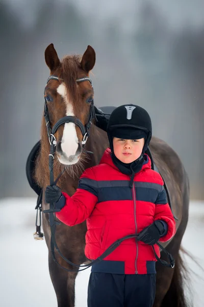 Cheval et jockey — Photo