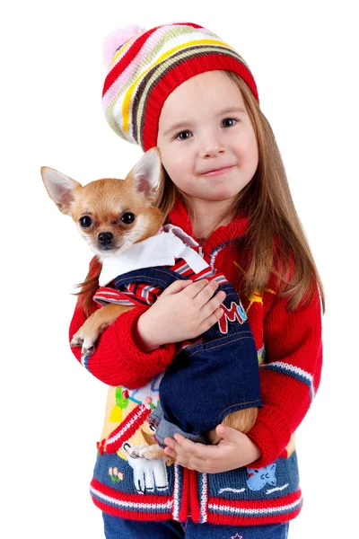 Chihuahua et une petite fille — Photo