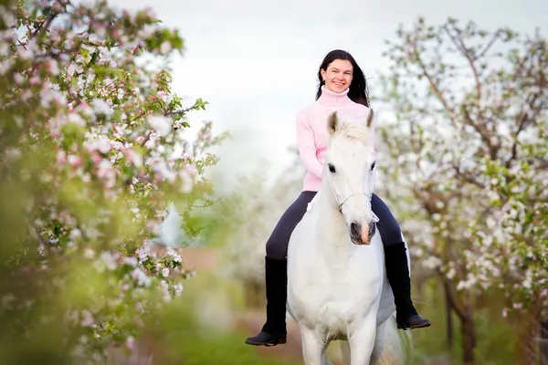Genç güzel kız elma bahçesi içinde beyaz bir at sürme — Stok fotoğraf