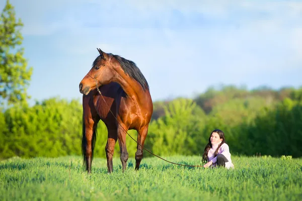 Mooi meisje lopen met een paard in het veld — Stockfoto