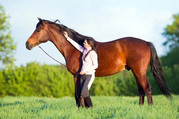 Giovane bella ragazza che cammina con un cavallo nel campo — Foto Stock