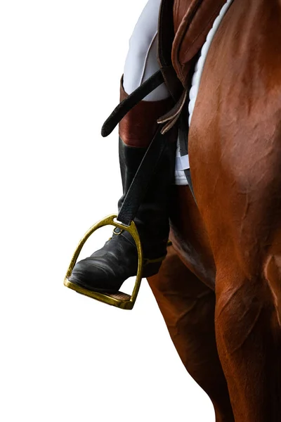 Cavaleiro Num Cavalo Castanho Olhando Para Frente Perto Cavalo Mulher — Fotografia de Stock