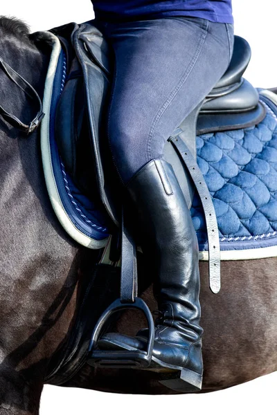 Rider Foot Black Horse Closeup Isolated White Background Woman Booted Stock Image