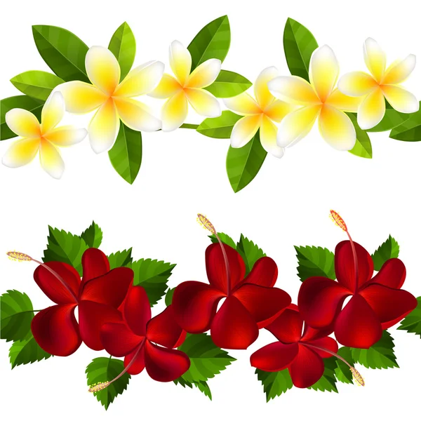 Samless border made of tropical flowers — Stock Vector