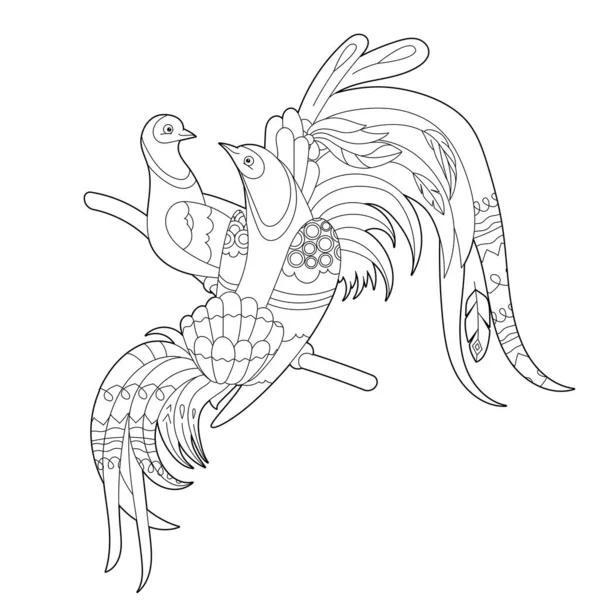 İki sevimli kuş. Doodle tarzı, siyah beyaz arka plan. Komik cennet kuşları, boyama kitabı sayfaları. Çocuklar ve yetişkinler için zentangle stili el çizimi, dövme.