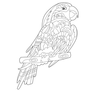 Şirin kuş papağanı. Doodle tarzı, siyah beyaz arka plan. Komik hayvan, boyama kitabı sayfaları. Çocuklar ve yetişkinler için zentangle stili el çizimi, dövme.