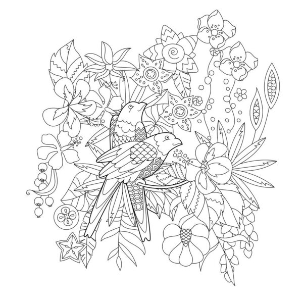 Contour linear illustration for coloring book with paradise birds in flowers. Tropic parrots,  anti stress picture. Line art design for adult or kids  in zen-tangle style, tattoo and coloring page.