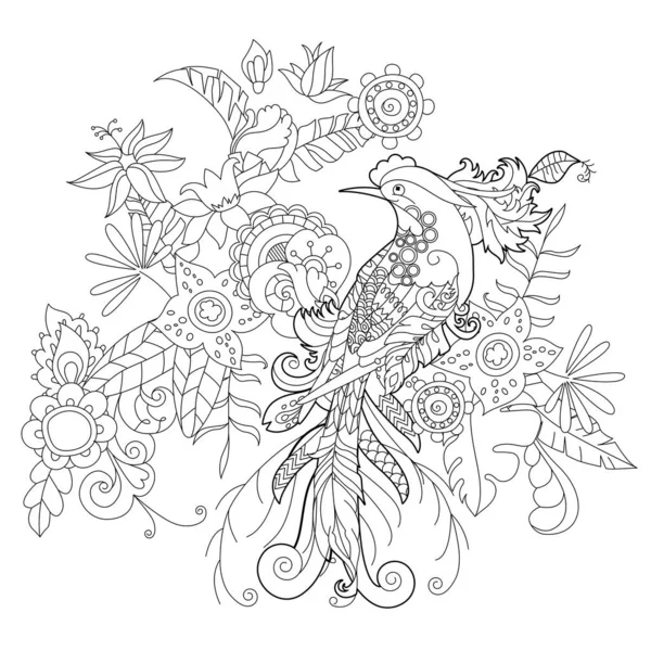 Контурная Линейная Иллюстрация Раскраски Книги Райской Птицей Цветах Тропическая Птица — стоковый вектор