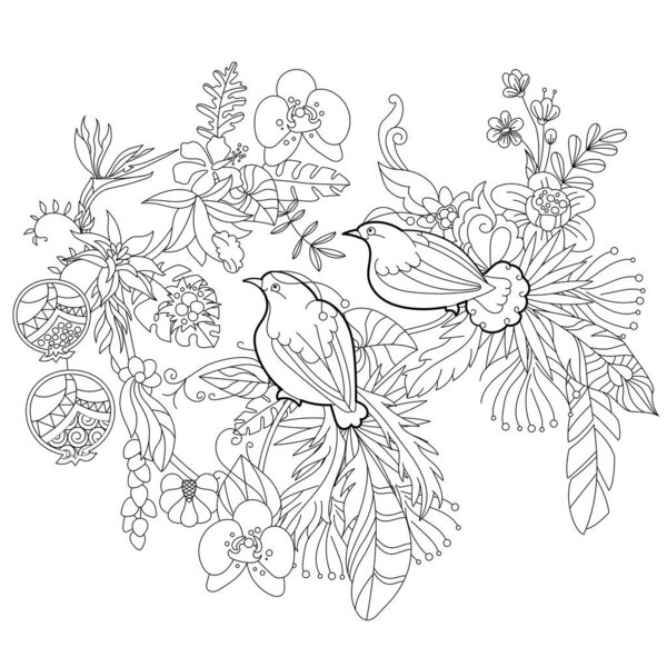 Contour linear illustration for coloring book with paradise birds in flowers. Tropic birds,  anti stress picture. Line art design for adult or kids  in zen-tangle style, tattoo and coloring page.