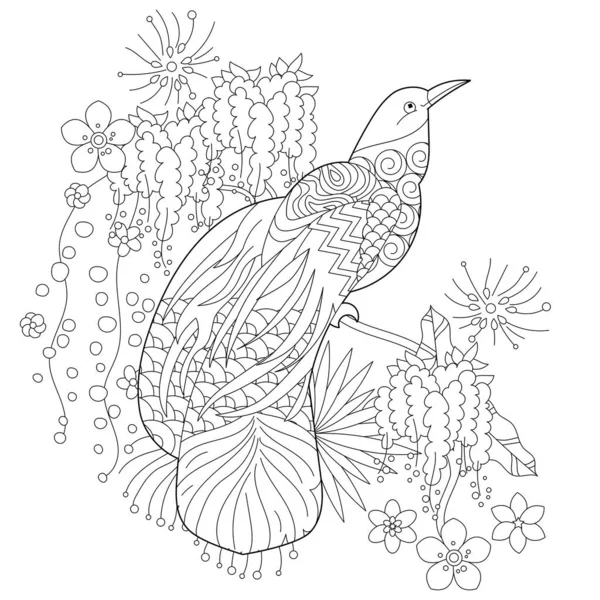 Ilustración Lineal Contorno Para Colorear Libro Con Pájaro Paraíso Flores — Vector de stock