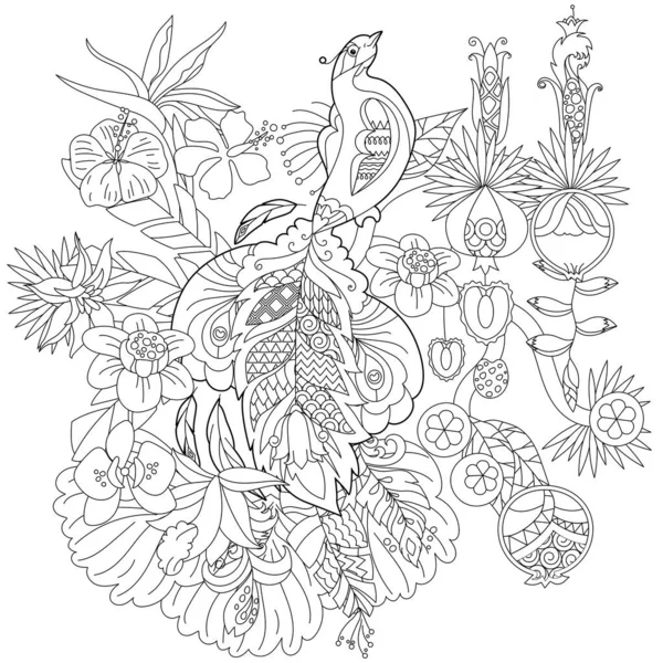 Ilustração Linear Contorno Para Colorir Livro Com Pássaro Paraíso Flores —  Vetores de Stock