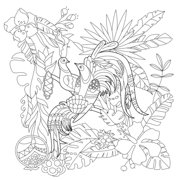 Контурна Лінійна Ілюстрація Розмальовки Книги Райськими Птахами Квітах Тропічні Птахи — стоковий вектор