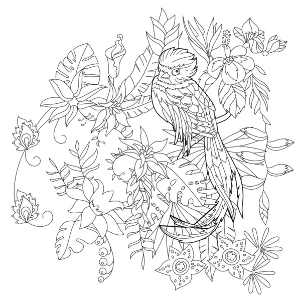 Ilustração Linear Contorno Para Colorir Livro Com Pássaro Paraíso Flores —  Vetores de Stock