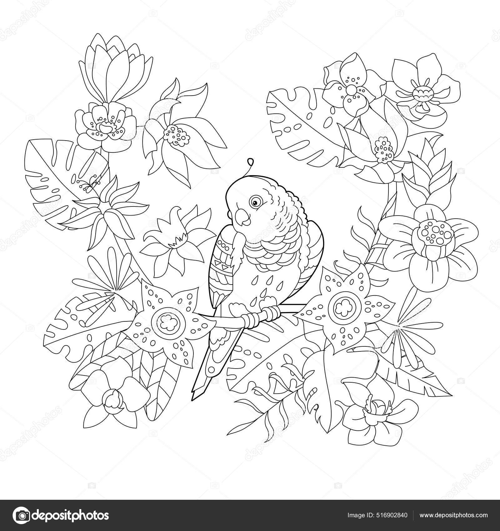 Pássaros e flores. desenho ilustração esboço para livro de colorir