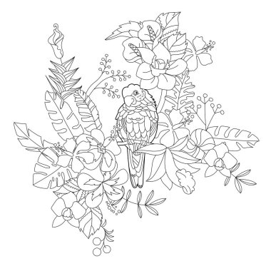 Çiçekli cennet kuşuyla boyama kitabı için doğrusal çizim yapın. Tropik papağan, stres karşıtı resim. Yetişkinler ve çocuklar için çizgi tasarımı Zen-karmaşası tarzı, dövme ve boyama sayfası.