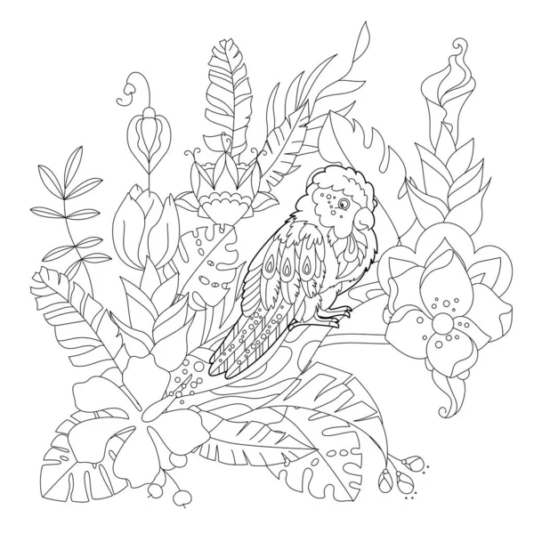 Kontur Liniowa Ilustracja Kolorowania Książki Rajskim Ptakiem Kwiatach Papuga Tropikalna — Wektor stockowy