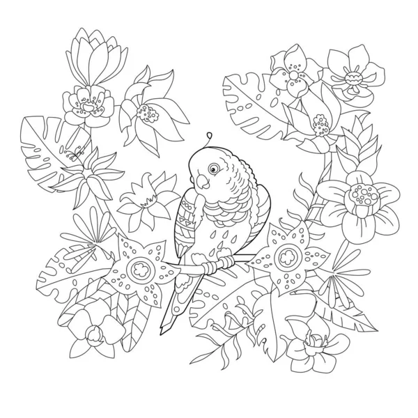 Ilustração Linear Contorno Para Colorir Livro Com Pássaro Paraíso Flores — Vetor de Stock