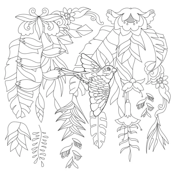 Konturlineare Illustration Für Malbuch Mit Paradiesvogel Blumen Tropischer Papagei Stress — Stockvektor