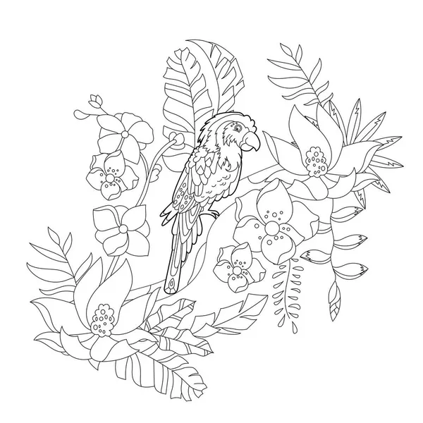 Kontur Liniowa Ilustracja Kolorowania Książki Rajskim Ptakiem Kwiatach Papuga Tropikalna — Wektor stockowy