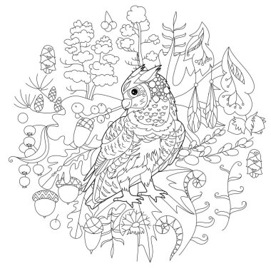 Ormandaki sevimli kuş baykuşu. Doodle tarzı, siyah beyaz arka plan. Komik hayvan, boyama kitabı sayfaları. Çocuklar ve yetişkinler için zentangle stili el çizimi, dövme.