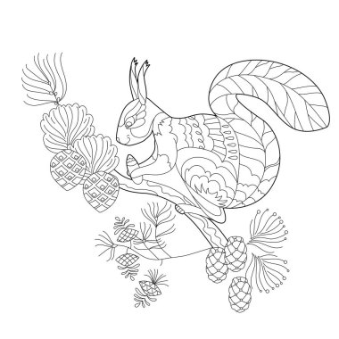 Cute squirrel with cone in forest. Doodle style, black and white background. Funny winter animal, coloring book pages. Hand drawn illustration in zentangle style for children and adults, tattoo. vector Cute squirrel with cone in forest. Doodle style, black and white background. Funny winter animal, coloring book pages. Hand drawn illustration in zentangle style for children and adults, tattoo. vector