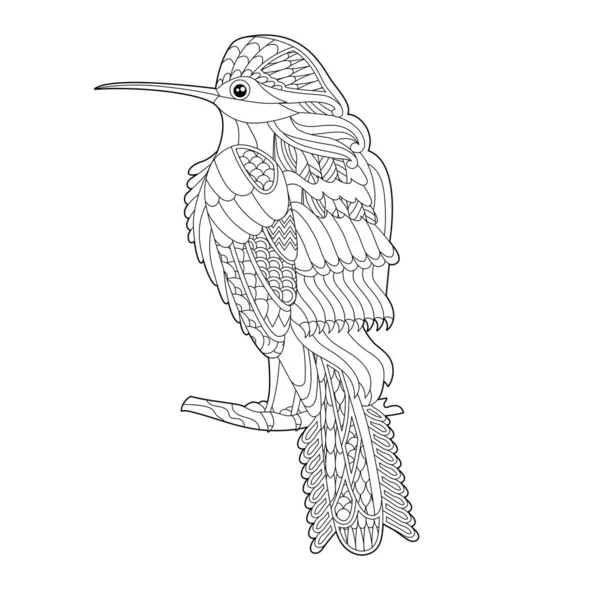 Lindo Pájaro Hermoso Con Cola Larga Fondo Blanco Negro Criatura — Vector de stock