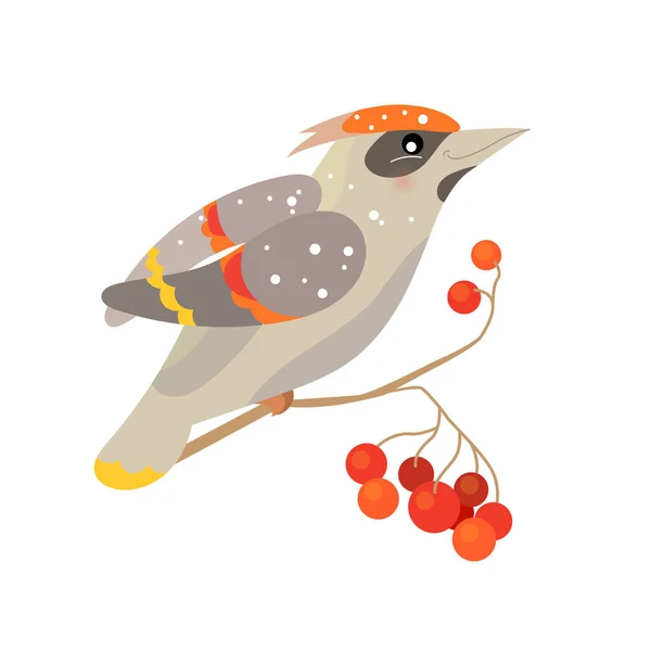Lindo Pájaro Encerado Ilustración Festiva Navidad Carácter Gracioso Aislado Sobre — Archivo Imágenes Vectoriales