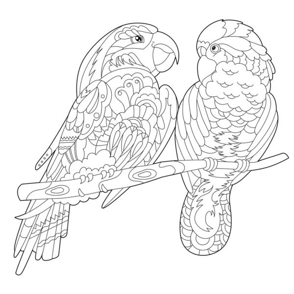 Kontur Linjär Illustration För Målarbok Med Två Vackra Fåglar Vackra — Stock vektor