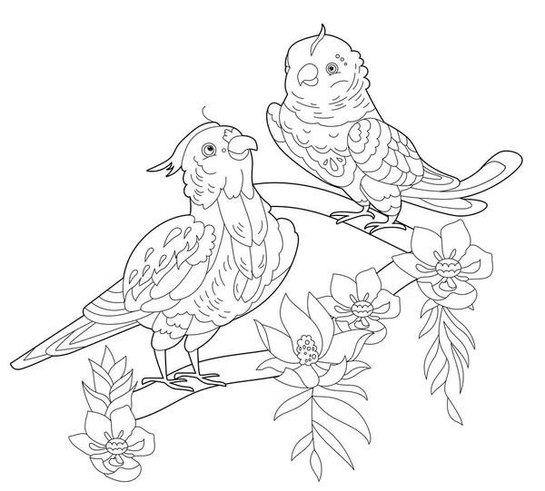 Contour Linear Illustration Coloring Book Two Pretty Birds Beautiful Cute —  Vetores de Stock