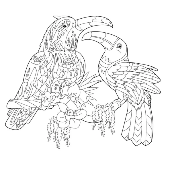 Ilustración Lineal Contorno Para Colorear Libro Con Dos Pájaros Bonitos Vector De Stock