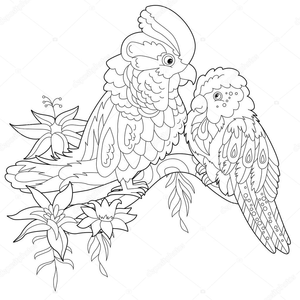 Contour linear illustration for coloring book with two pretty birds. Beautiful cute couple,  anti stress picture. Line art design for adult or kids  in zen-tangle style, tattoo and coloring page
