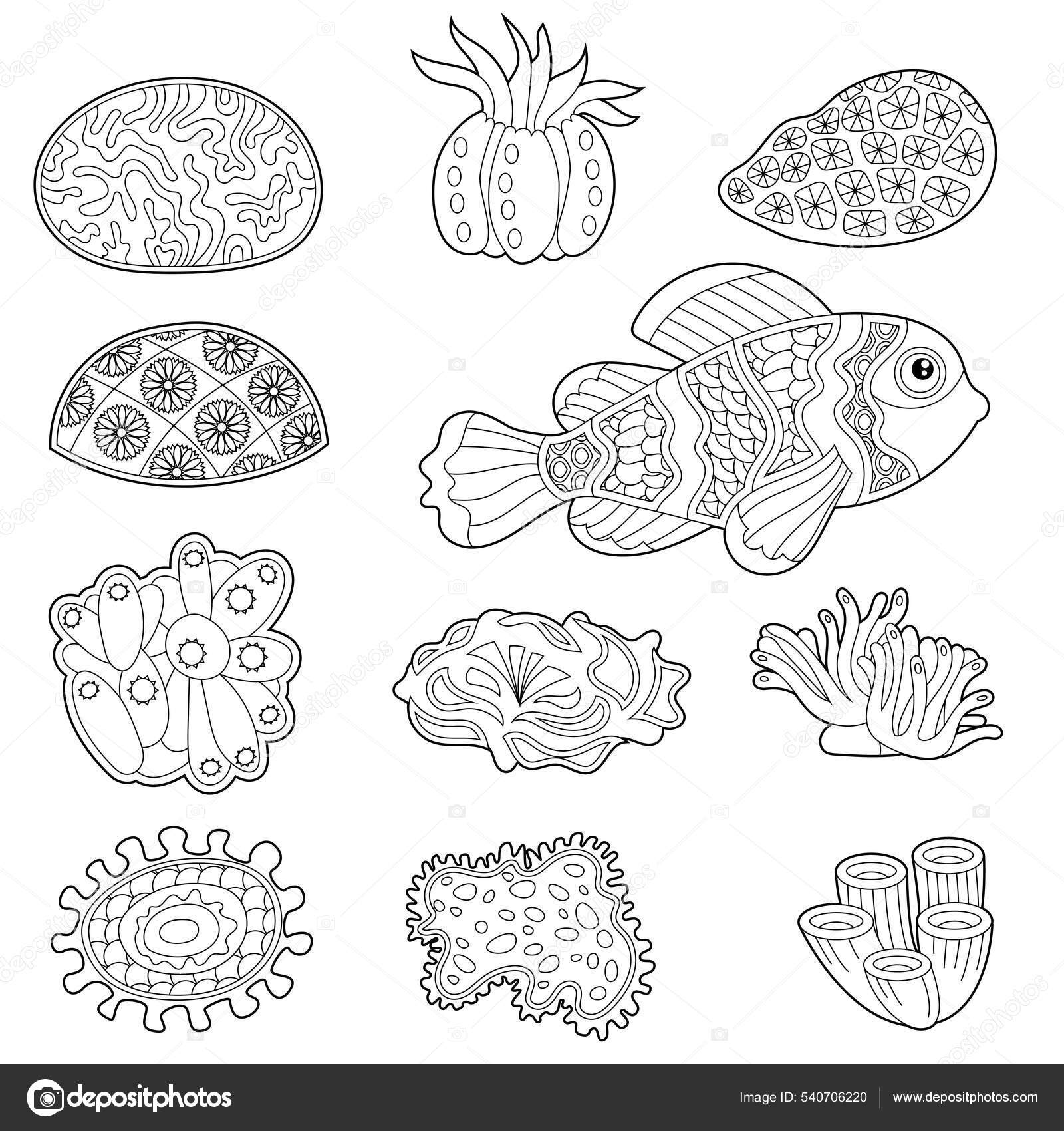 Adult coloring book bundle sea, fish, animals, beach, nature