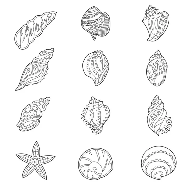 Set Con Diferentes Conchas Marinas Ilustración Lineal Contorno Para Libro — Vector de stock