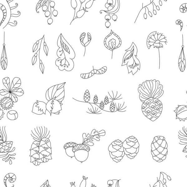 Seamless Floral Contour Pattern Forest Seeds Cones Endless Monochrome Botanical — Stockvector