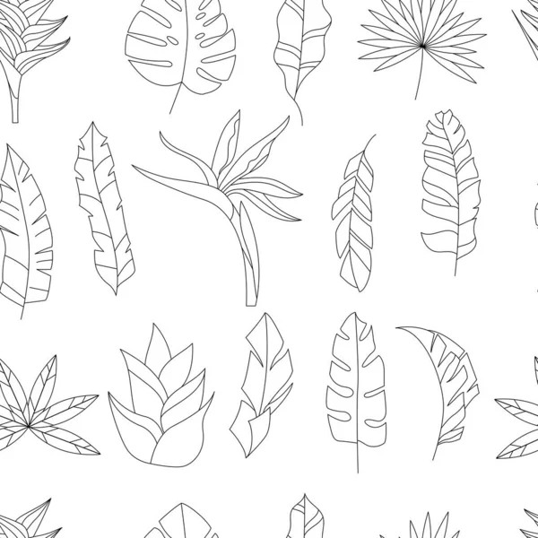 Seamless Floral Contour Pattern Exotic Leaves Endless Monochrome Texture Your — Wektor stockowy