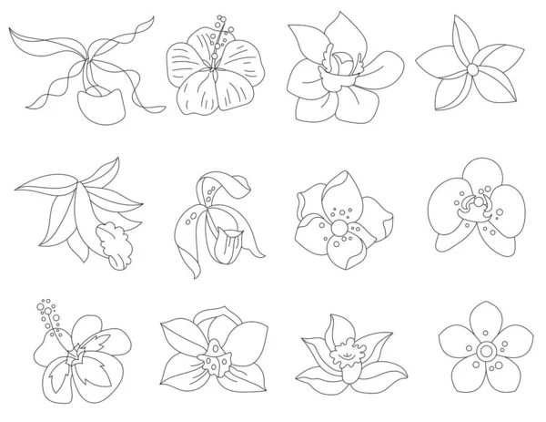 Şekillendirilmiş Tropik Çiçekler Beyaz Arka Planda Izole Edilmiş Nesneler Siyah — Stok Vektör