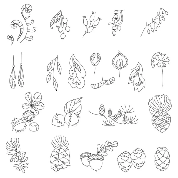 Stylized Forest Seed Plants Objects Isolated White Background Black White — Stock Vector