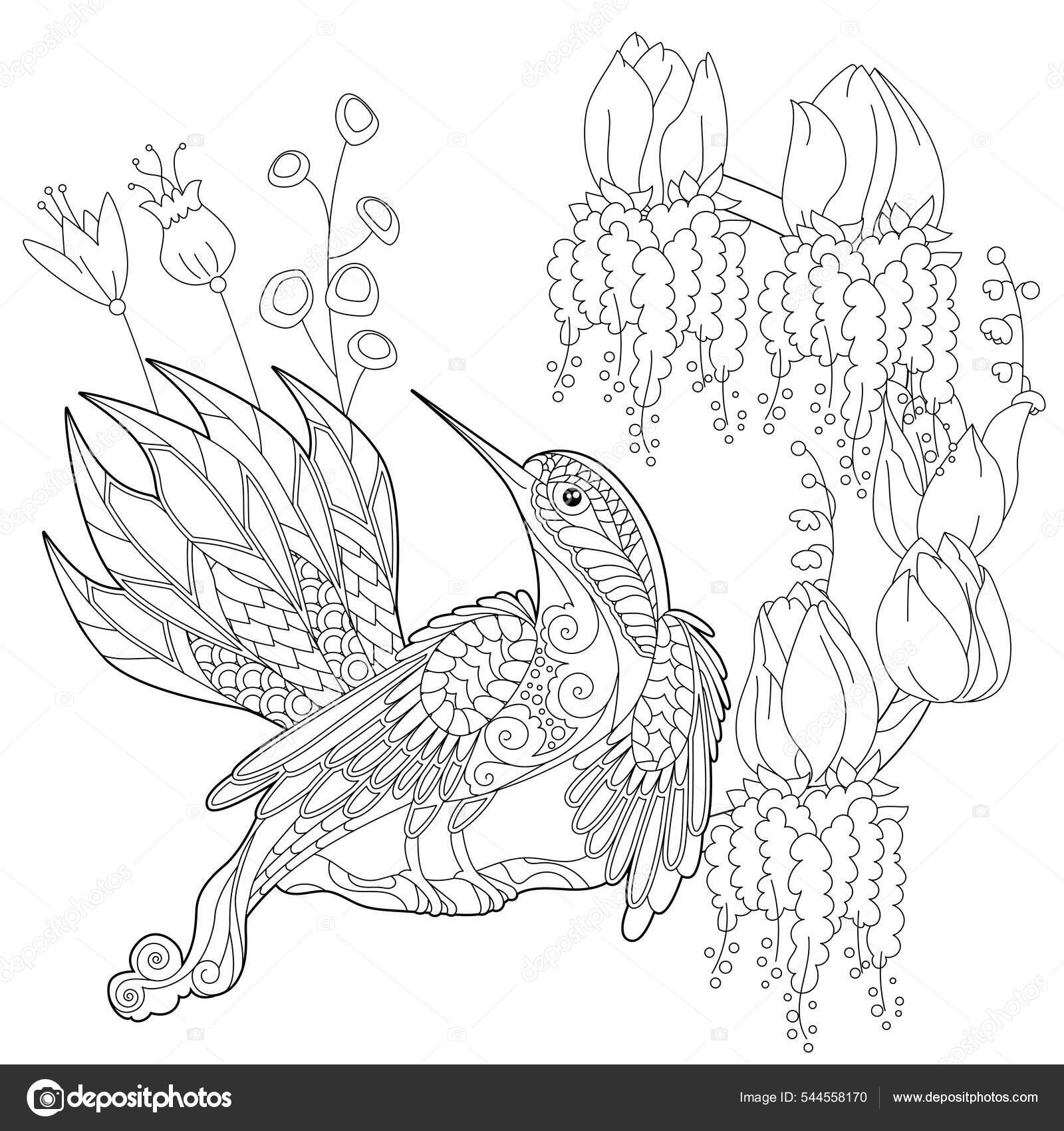 Adulte Anti-stress Coloriage, Oiseau Tropical Exotique Dessiné À