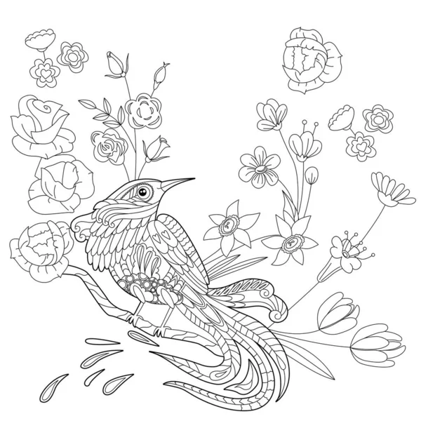 Контурна Лінійна Ілюстрація Розмальовки Книги Райськими Птахами Квітах Тропічний Птах — стоковий вектор