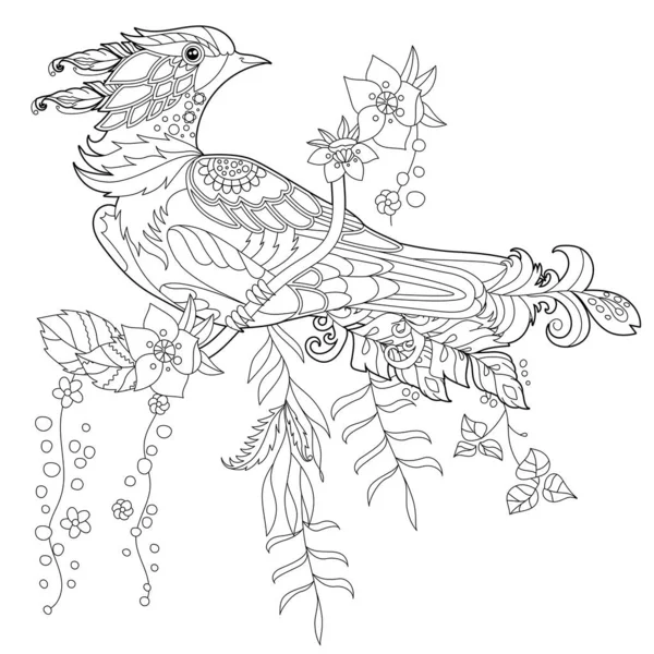 Σχεδιάγραμμα Γραμμική Εικόνα Για Βιβλίο Ζωγραφικής Πουλί Παράδεισο Στα Λουλούδια Royalty Free Διανύσματα Αρχείου