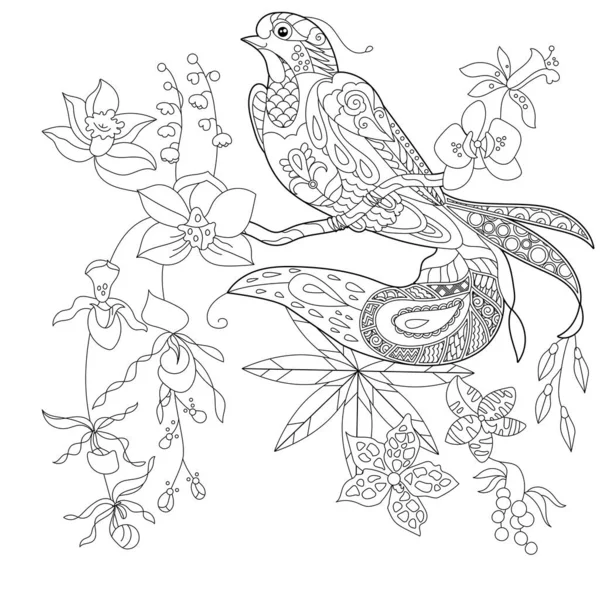 Σχεδιάγραμμα Γραμμική Εικόνα Για Βιβλίο Ζωγραφικής Πουλί Παράδεισο Στα Λουλούδια Διάνυσμα Αρχείου
