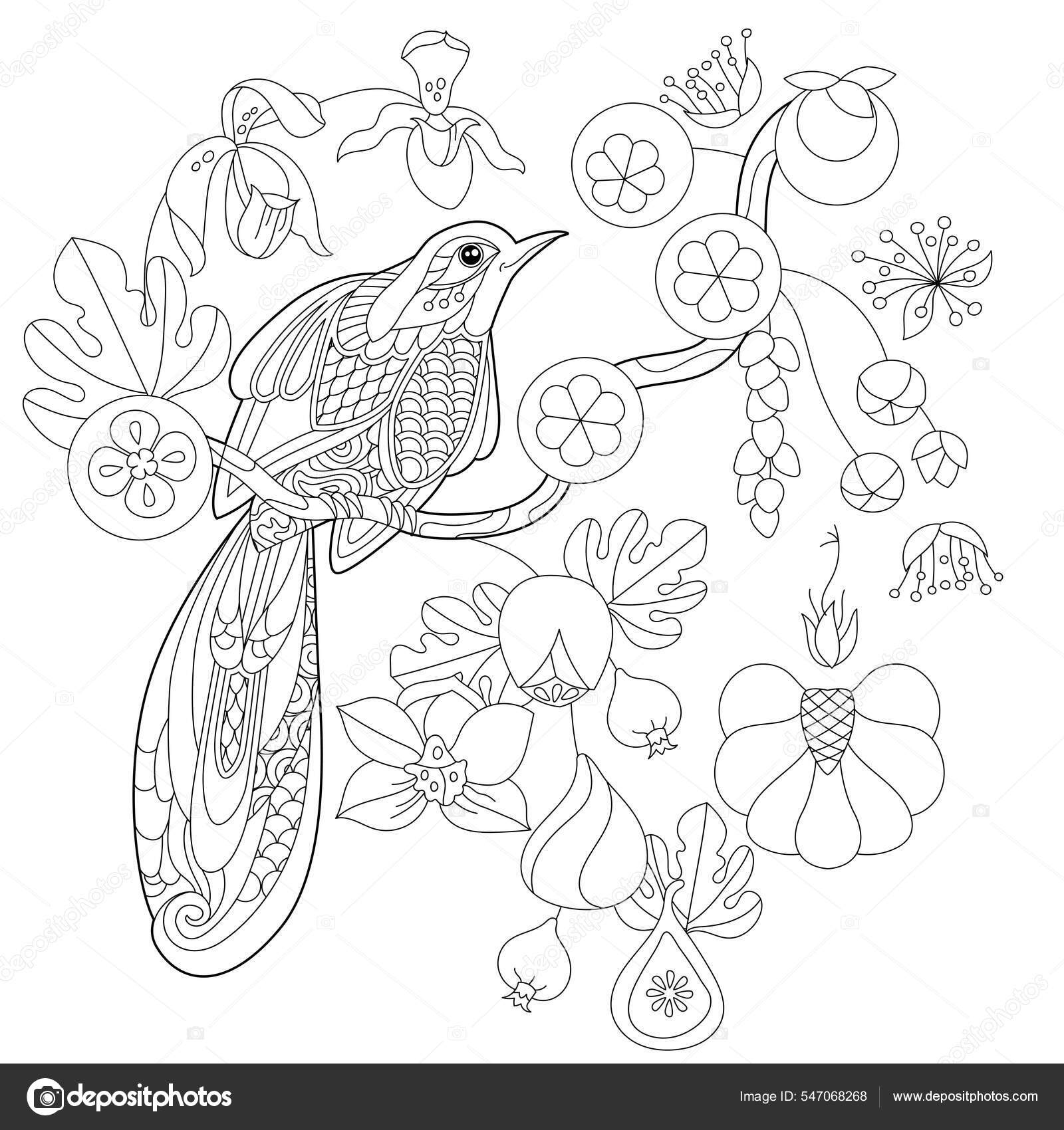 Pássaros e flores. desenho ilustração esboço para livro de colorir adulto.