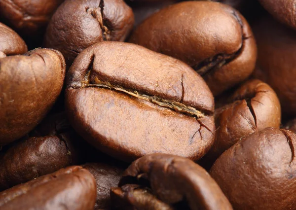 Coffee bean extrémní makro snímek — Stock fotografie