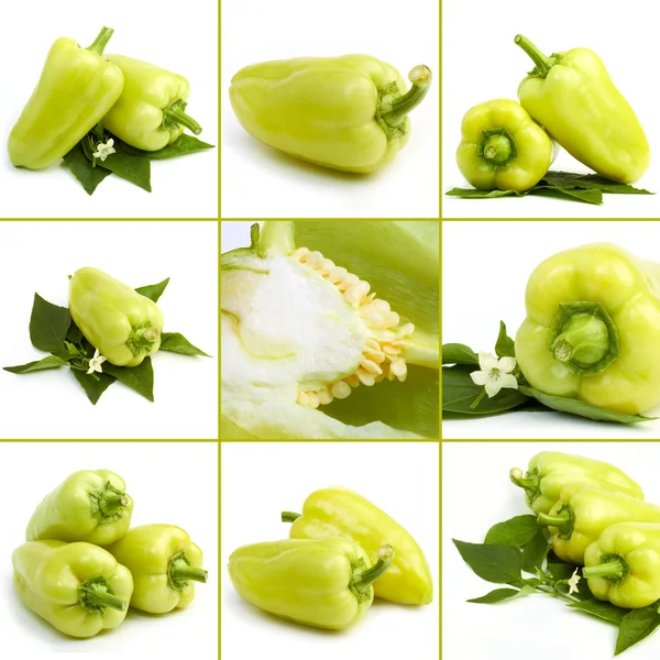 Peperoncino verde dolce collage — Foto Stock