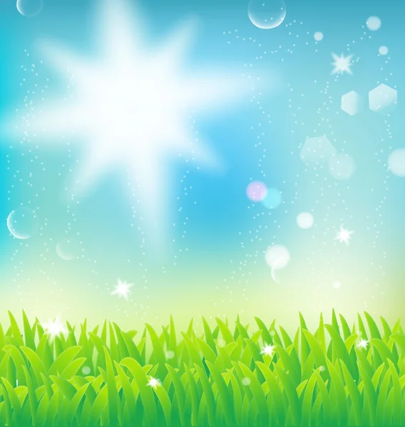 Landskapet med solljus och gräs — Stock vektor